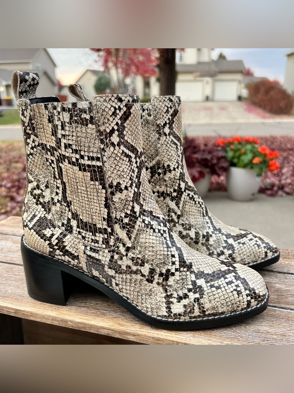 New NORDSTROM LEATHER Snakeskin Style Booties - So Cute! Size 6 MSRP: $89.00
